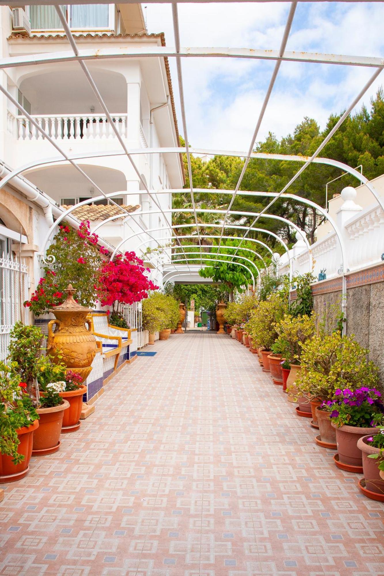 Atalaya Bosque Apartamentos Peguera Dış mekan fotoğraf