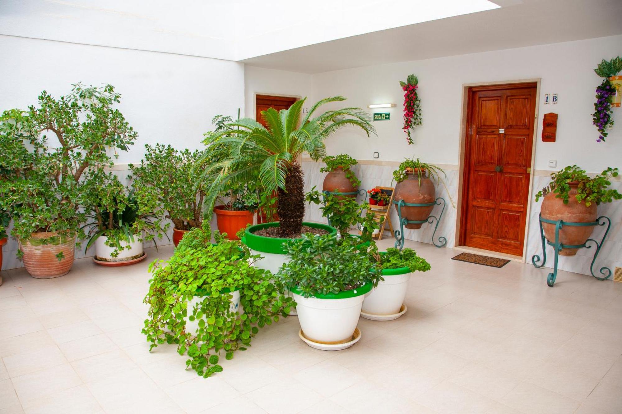 Atalaya Bosque Apartamentos Peguera Dış mekan fotoğraf